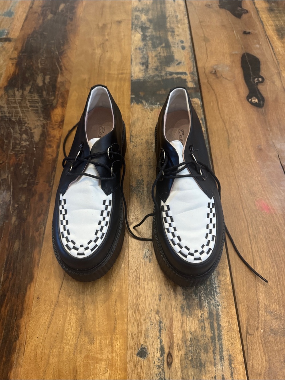 Black and White Checker Creepers